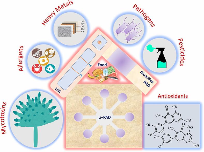 Strategic detection of food contaminants using nanoparticle-based paper sensors