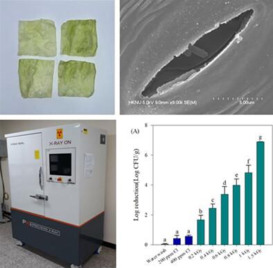 Evaluation of low-energy x-rays as an alternative to chlorine washing to control internalized foodborne pathogens in lettuce