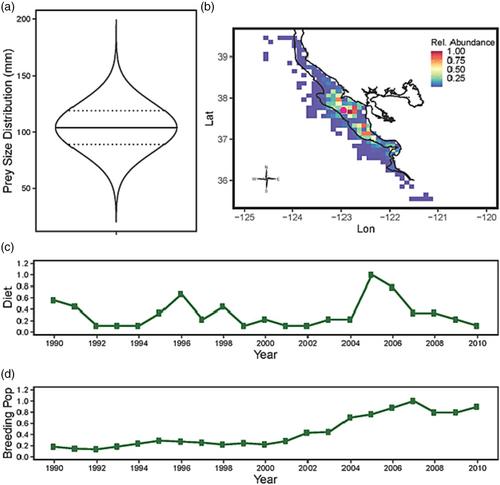 Size-selective predation effects on juvenile Chinook salmon cohort survival off Central California evaluated with an individual-based model