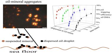 Formation and sedimentation of oil–mineral aggregates in the presence of chemical dispersant