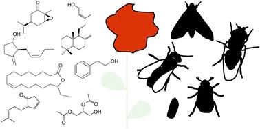 Chemistry, biosynthesis and biology of floral volatiles: roles in pollination and other functions