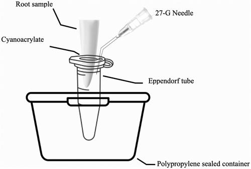 Assessing the impact of obturation techniques, kinematics and irrigation protocols on apical debris extrusion and time required in endodontic retreatment