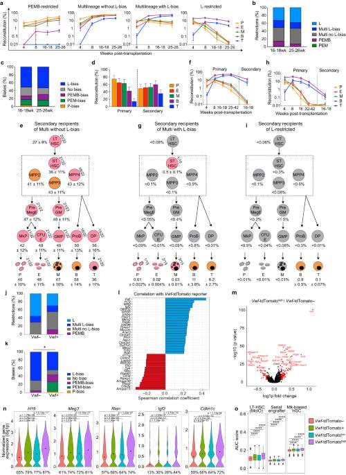 Platelet and myeloid lineage biases of transplanted single perinatal mouse hematopoietic stem cells