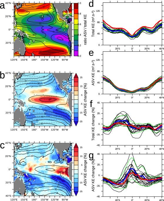 Future changes in atmospheric synoptic variability slow down ocean circulation and decrease primary productivity in the tropical Pacific Ocean