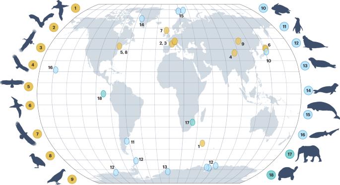 Animal-borne sensors as a biologically informed lens on a changing climate