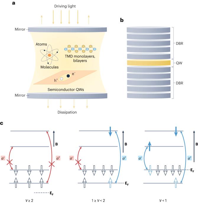 Spin-selective transitions between quantum Hall states