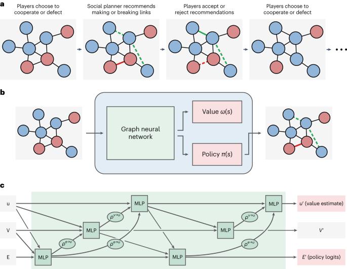 Scaffolding cooperation in human groups with deep reinforcement learning