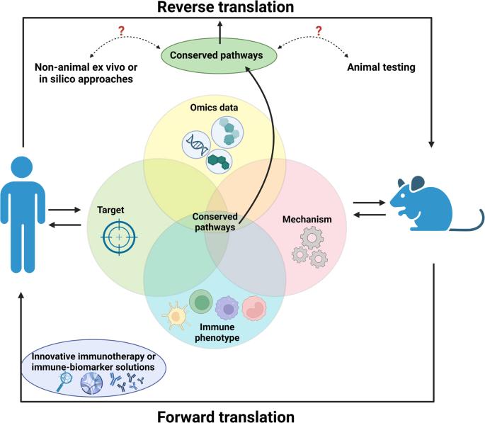 Reverse translation: the key to increasing the clinical success of immunotherapy?