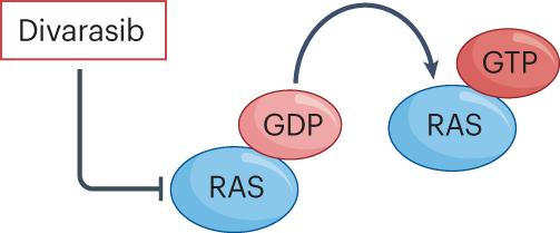 Early promising results with the novel KRASG12C inhibitor divarasib