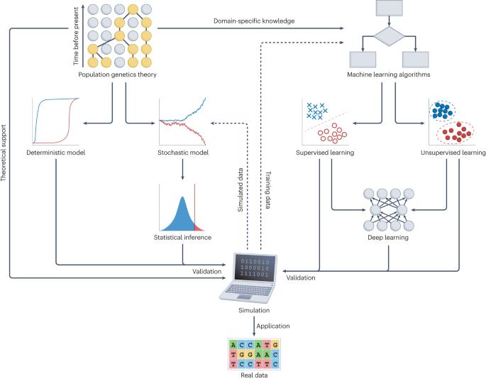 Harnessing deep learning for population genetic inference