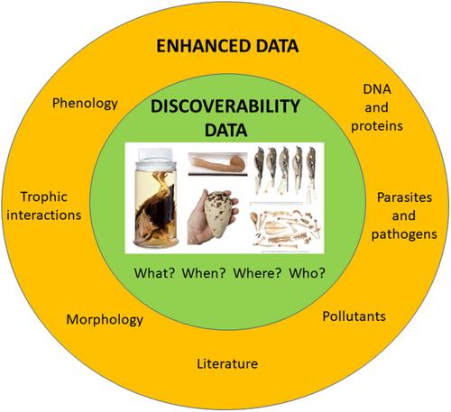 Unlocking avian museum collections to enable and advance environmental change research