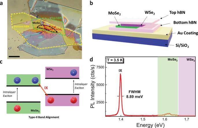 Prolonged dephasing time of ensemble of moiré-trapped interlayer excitons in WSe2-MoSe2 heterobilayers