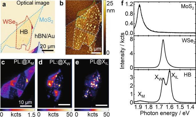 Tailoring exciton dynamics in TMDC heterobilayers in the ultranarrow gap-plasmon regime