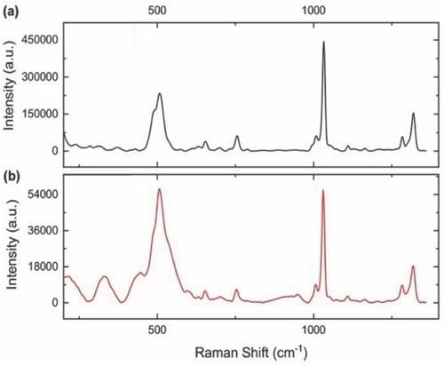 SERS Detection of Hg2+ using Rhenium Carbonyl Labelled Nanoparticle Films