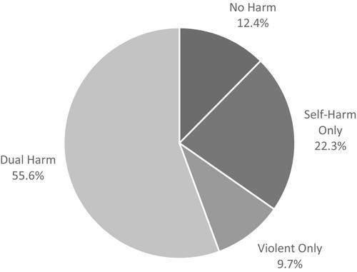 Investigating dual harm and misconduct in Northern Ireland: A 1-year follow-up