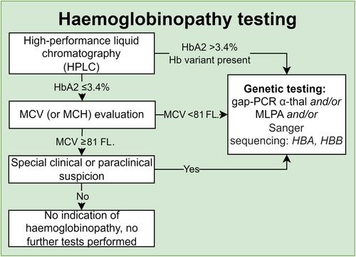 The Danish national haemoglobinopathy screening programme: Report from 16 years of screening in a low-prevalence, non-endemic region