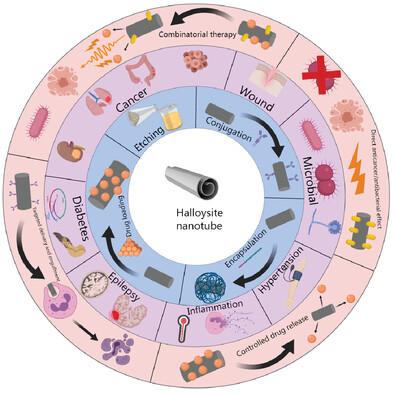 Recent Advances of Halloysite Nanotubes in Biomedical Applications