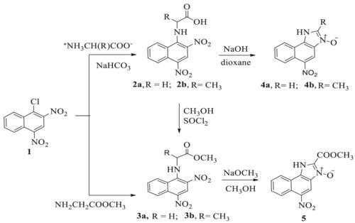 Cyclization of 2,4-dinitronaphth-1-yl amino acids and their analogues to naphthimindazol-N-oxides: Kinetics and mechanism