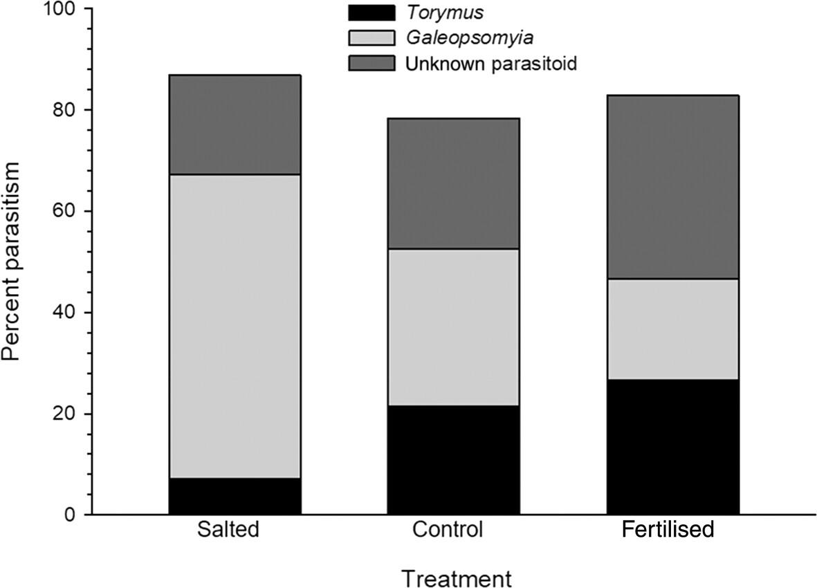 Bottom-up effects shift top-down community structure of the parasitoid guild that attacks Asphondylia borrichiae (Diptera: Cecidomyiidae) on Borrichia frutescens (Asteraceae)