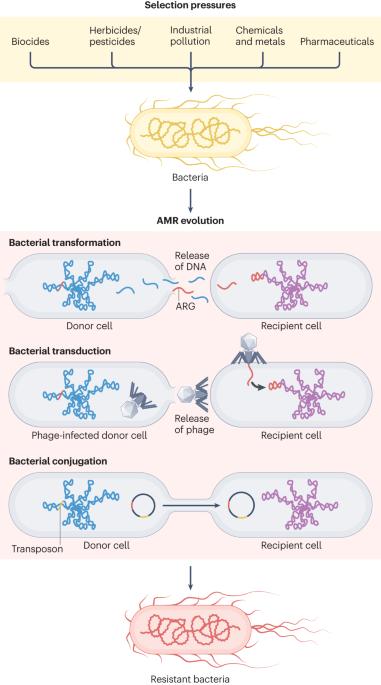 Genomic surveillance for antimicrobial resistance — a One Health perspective