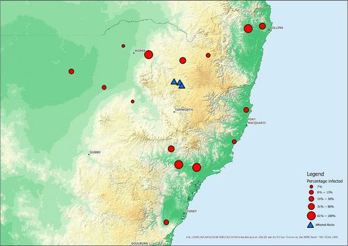 Bluetongue disease in sheep in New South Wales – April 2023