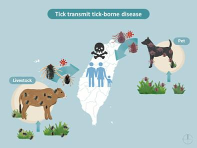 Nationwide survey of ticks on domesticated animals in Taiwan: Revealing the hidden threat to animal and public health