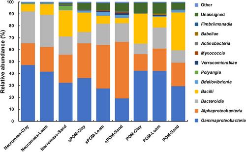 Organic matter type and soil texture shape prokaryotic communities during early-stage soil structure formation