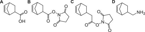 Orthogonally Crosslinked Gelatin-Norbornene Hydrogels for Biomedical Applications