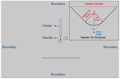 Statistical analysis and interpretation on lightning impulse breakdown voltages of ester liquids under varying field uniformity