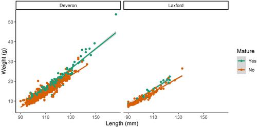 Smolting in post-sexually mature male Atlantic salmon (Salmo salar L.) parr in the wild