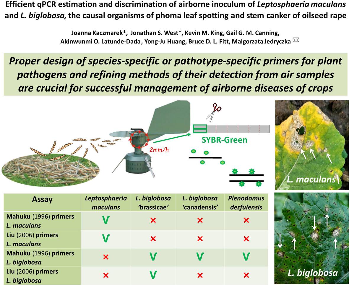 Efficient qPCR estimation and discrimination of airborne inoculum of Leptosphaeria maculans and L. biglobosa, the causal organisms of phoma leaf spotting and stem canker of oilseed rape