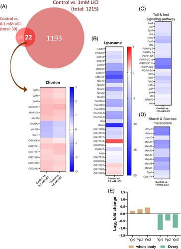 Dietary lithium stimulates female fecundity in Drosophila melanogaster