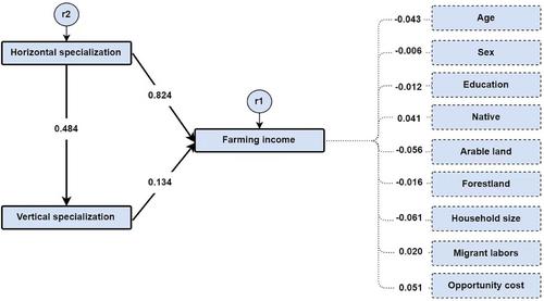 The role of specialization in increasing farmers' income: Horizontal or vertical?