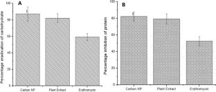 Development of Green-Synthesized Carbon-Based Nanoparticle for Prevention of Surface Wound Biofilm