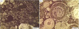 Mineral Signatures and Trace and Rare Earth Elements Constraints on the Sources of the Doğanşehir Bauxite Deposit (Malatya-Turkey)