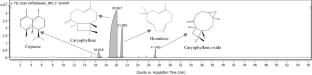 Anti-hyperuricemic potential of caryophyllene from Syzygium aromaticum essential oil: SiO2-AgNO3-based column chromatography purification, antioxidant, and xanthine oxidase inhibitory activities