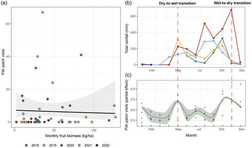 Picking pithy plants: Pith selectivity by wild white-faced capuchin monkeys, Cebus imitator
