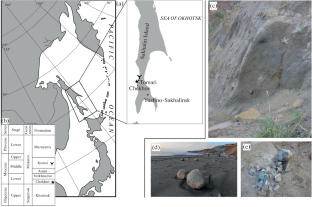 An Oldest Record of the Shark Cosmopolitodus planus (Lamnidae) from the Lower Miocene of the Sakhalin, Russia