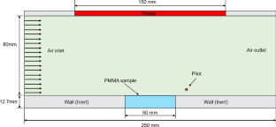 Numerical Study on Pilot Ignition of a Thermally-Thick Solid Fuel with Low-Velocity Airflow in Microgravity