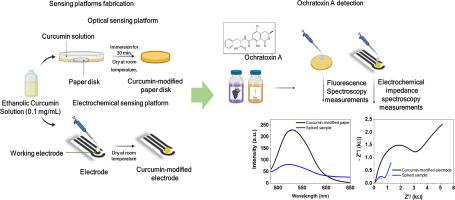 Low-cost paper-based sensors modified with curcumin for the detection of ochratoxin a in beverages