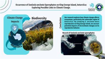 Occurrence of Sanionia uncinata sporophytes on King George island, Antarctica: Exploring possible links to climate change