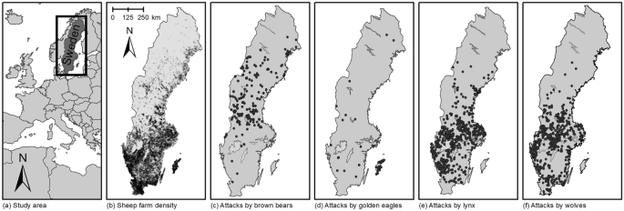 Times of trouble—seasonal variation in number and severity of attacks on sheep caused by large carnivores and eagles in Sweden