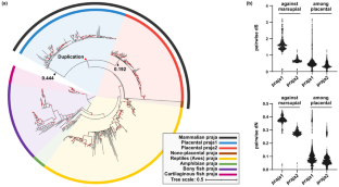 Functional Divergence and Origin of the Vertebrate Praja Family