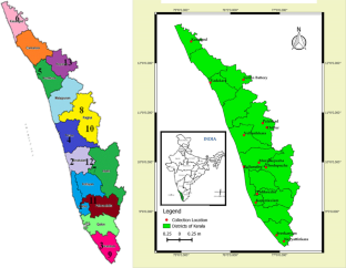 Characterization of cassava whitefly (Bemisia tabaci (Gennadius)) from diverse agro-ecological zones of Kerala, India, reveals the presence of different biotypes as pests in cassava