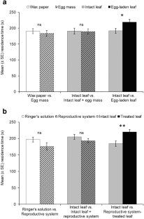 Plant responses induced by Adoxophyes honmai oviposition in host tea plants and non-host Arabidopsis thaliana