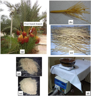 Characterization of the thermal, water absorption, and viscoelastic behavior of short date palm fiber reinforced epoxy