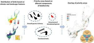 The Protected Areas network may be insufficient to protect bird diversity in a fragmented tropical hotspot under different climate scenarios