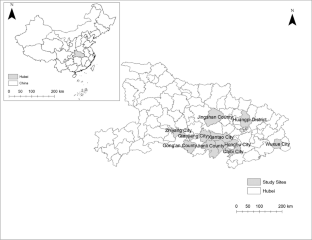 Examining the effects of climate change adaptation on technical efficiency of rice production