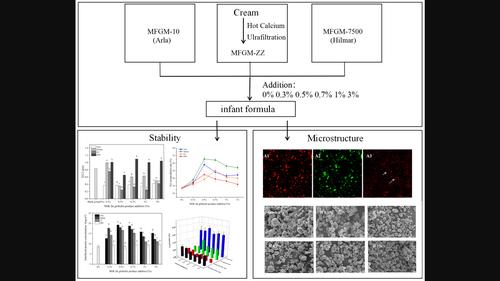 Effect of the addition of milk fat globule membrane materials to the construction of fat globule interface in infant formula