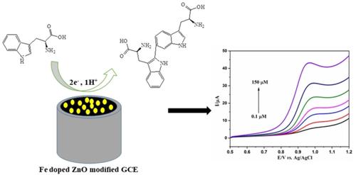 Electrochemical detection of tryptophan in fish and pharmaceutical supplement at glassy carbon electrode modified with Fe doped ZnO nanoparticle